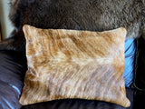 PC 01 Pillow Cover